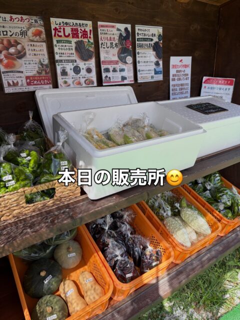 おはようございます😊
コロン’sファームです🌱

本日も無人販売所オープンしています✨
とうもろこし🌽、枝豆、ナス、ピーマン、ゴーヤなど、採れたて野菜を並べています♪

そして昨日、かわいいひよこが2羽産まれていました🐣💕
お母さん鶏にぴったり寄り添う姿がなんとも可愛いです☺️
元気に大きくなってね♪

黄色いスイカも甘く仕上がりました🍉✨

本日もよろしくお願いします😊

#コロンズファーム #南丹市 #無人販売所 #採れたて野菜 #ひよこ