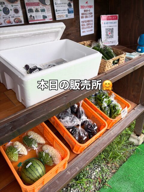 こんにちは😊
コロン’sファームです🌱

今日は朝から雨☔️
足元の悪い中ですが、無人販売所オープンしています♪

本日は、ナス・ピーマン・ゴーヤ・きゅうりなどの夏野菜に加えて、ぶどうも並んでいます🍇✨
巨峰やクイーンニーナなど、食べやすい少量パックもご用意しています😊

雨の日ですので、お越しの際は足元にお気をつけくださいね☺️
本日もよろしくお願いします♪

#コロンズファーム #南丹市 #無人販売所 #採れたて野菜 #ぶどう