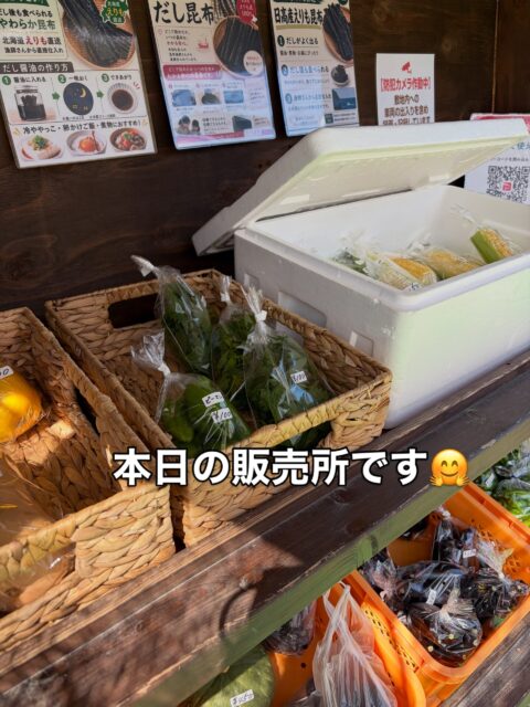 おはようございます😊
コロン’sファームです🌱

昨日の雨から一転、今日は気持ちのいい晴天☀️
無人販売所、本日もオープンしています♪

採れたてのピーマンやナス、とうもろこしなど並んでいます🌽🍆
今日はハニーシードレス最終です🍇✨

ぜひお立ち寄りください😊
本日もよろしくお願いします♪

#コロンズファーム #南丹市 #無人販売所 #採れたて野菜 #ハニーシードレス