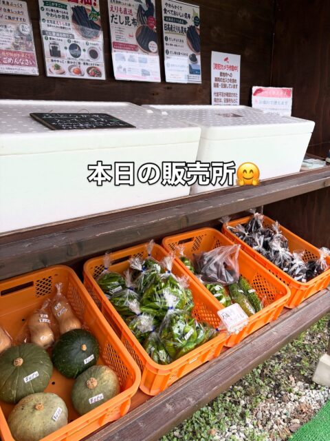 おはようございます😊
コロン’sファームです🌱

今日は曇り空☁️
午後からは雨予報ですが、無人販売所オープンしています♪

ピーマン、ナス、ゴーヤ、かぼちゃなど、今日も採れたて野菜が並んでいます😊

ぶどうもありますよ〜🍇✨
巨峰・クイーンニーナ・ハニーシードレスなど、いろいろご用意しています♪

雨が降り出す前に、ぜひお立ち寄りください☺️
本日もよろしくお願いします！

#コロンズファーム #南丹市 #無人販売所 #採れたて野菜 #ぶどう