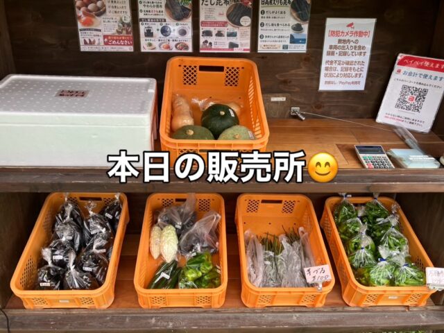 こんにちは😊
コロン’sファームです🌱

今日も無人販売所オープンしています♪

ナス、ピーマン、万願寺とうがらし、ゴーヤ、かぼちゃなど、採れたて野菜を並べています🍆🫑

そして今日は、畑でみょうがも収穫できました✨
秋を感じる野菜が少しずつ増えてきました😊

お近くにお越しの際は、ぜひ覗いてみてください♪

#コロンズファーム #南丹市 #無人販売所 #採れたて野菜 #みょうが