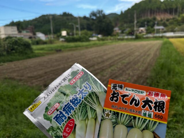 大根の種まきをしました！
これから少しずつ芽が出て、元気に育ってくれるのが楽しみです。
まだまだ小さなスタートですが、しっかり育っておいしい大根になりますように😊
#コロンズファーム
#大根
#農家の日常
#成長記録
#南丹市の野菜