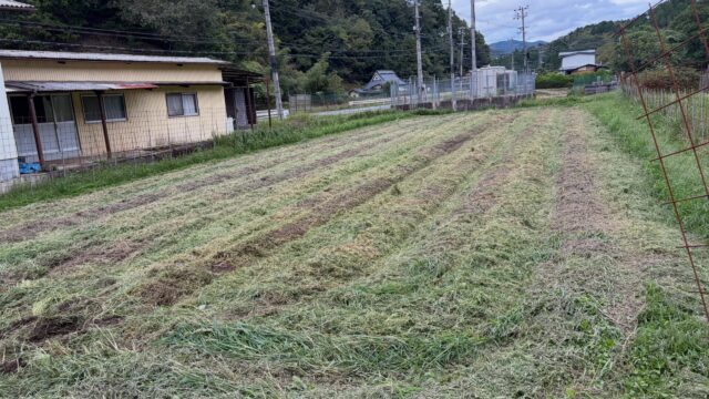 本日の作業は、収穫を終えた圃場の片付けをしました。✨

次の作付けに向けて準備中🌱

また来年も元気に育ってくれるよう、しっかり圃場を整備していきます😊

#コロンズファーム#無人販売 #圃場整備#畑仕事#農業