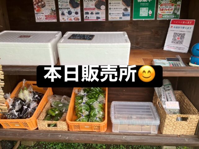 本日もコロン’sファーム無人販売所オープンしています😊🌱

今年の新米「キヌヒカリ」が並びました🌾✨

つやつやの炊きたてご飯、ぜひ味わってみてください🍚💕
1kg入りなので、お試しにもおすすめです♪

販売所には、ナス🍆や万願寺とうがらし🫑など、採れたてのお野菜も並んでいます。

秋の味覚が少しずつ増えてきました🍂
お近くにお越しの際は、ぜひのぞいてみてくださいね😊

#コロンズファーム #南丹市 #無人販売所 #新米 #キヌヒカリ