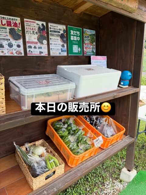 ごめん😂 いつもの「今日の販売所＋畑の様子」スタイルやな！これこれ👇

こんにちは😊
コロン’sファーム無人販売所です🌱

本日も朝から採れたて野菜を並べています✨

🍆 ナス
🫑 万願寺とうがらし
そのほか、その日に収穫できたお野菜をご用意しています😊

そして畑では、丹波黒の黒枝豆が順調に成長中🫛✨
莢もだんだん膨らんできて、収穫に向けてあともう少し！

これからしっかり実が太ってくれるのが楽しみです😊

本日もコロン’sファーム無人販売所をよろしくお願いします🌿

#コロンズファーム #南丹市 #無人販売所 #丹波黒 #黒枝豆