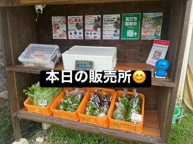 今日は少し過ごしやすいお天気☁️
コロン’sファーム無人販売所、本日もお野菜並んでます✨

大根の間引き菜や万願寺とうがらしなど、採れたてのお野菜をご用意しています🌱🫑

そして今日は、農園のにわとりさんも登場🐔💕
畑の野菜をつまみながら、のんびりお散歩中です😂
こういう姿を見るとほっこりしますね☺️

お近くにお越しの際は、ぜひのぞいてみてください😊
本日もよろしくお願いします✨

#コロンズファーム
#南丹市
#無人販売所
#採れたて野菜
#農家の日常