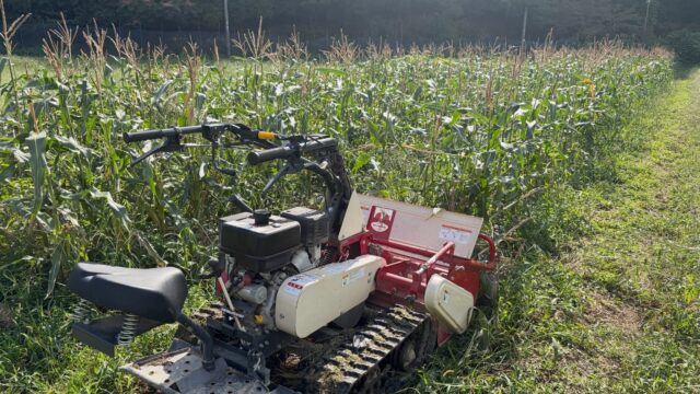 本日の作業は、最後のとうもろこし圃場の片付け🌱
きれいに整えました🚜✨

甘〜いとうもろこし🌽また来年👋🌽
お楽しみに🤗

#コロンズファーム
#無人販売
#とうもろこし
#農作業
#圃場整備