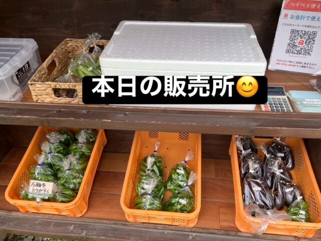 コロン’sファーム無人販売所です🌱

今日は少し曇り空☁️
本日も朝採れ野菜を並べています✨

🍆 ナス
🫑 万願寺とうがらし
🫑 ピーマン
などをご用意しています😊

ただ、夏野菜も終盤を迎え、今日は販売所が少しさびしい感じになっています🥲
楽しみに来てくださる皆さま、申し訳ありません🙇‍♀️

その分、畑では次のお野菜の準備が着々と進んでいます💪🌱
秋冬野菜の畝立ても無事に終了しました！
これから植え付けをどんどん進めて、できるだけ早く終わらせます😊

白菜やキャベツ、ブロッコリーなど、これから販売所に並ぶ秋冬野菜も楽しみにしていてくださいね🥬✨

季節の変わり目で品数は少なめですが、本日もコロン’sファーム無人販売所をよろしくお願いします😊

#コロンズファーム #南丹市 #無人販売所 #採れたて野菜 #秋冬野菜