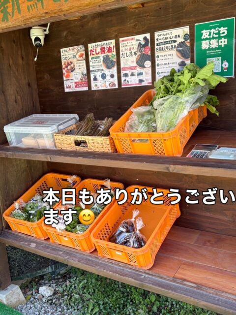 こんにちは😊
コロン’sファーム無人販売所です🌱

本年度丹波黒枝豆、初収穫🫛✨

今年もここまで大事に育ててきた丹波黒。
ぷっくりと実も入り、これからどんどん美味しい時期に入っていきます😊

販売所には今日も
🫑 万願寺とうがらし
🍆 ナス
🌿 大根の間引き菜
など、採れたてのお野菜を並べています✨

夏野菜が少しずつ終わって、これからは丹波黒枝豆をはじめ秋のお野菜へ🍂
販売所も季節が変わっていきます😊

本日もコロン’sファーム無人販売所でお待ちしております✨

#コロンズファーム #南丹市 #丹波黒枝豆 #無人販売所 #採れたて野菜