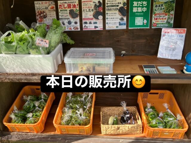本日もコロン’sファーム無人販売所、営業しております😊🌿

今日は丹波黒枝豆がたっぷり収穫できました🫛✨
ぷっくり実の入った、この時期ならではの秋の味覚です♪

販売所には丹波黒枝豆のほか、万願寺とうがらし、大根の間引き菜など、採れたてのお野菜を並べています🥬

朝晩もだいぶ涼しくなって、いよいよ秋のお野菜の季節になってきました🍂
ぜひお立ち寄りください😊

本日もよろしくお願いいたします✨

#コロンズファーム #南丹市 #丹波黒枝豆 #無人販売所 #採れたて野菜