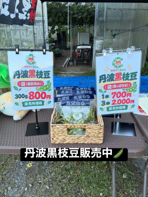🌿 本日もありがとうございました😊 🌿

今日もコロン’sファーム無人販売所にお立ち寄りいただき、ありがとうございました✨

秋の味覚、丹波黒枝豆🫛
今年も美味しい季節がやってきました♪

ぷっくり実の詰まった丹波黒枝豆を、袋入りと枝付きでご用意しています😊

🫛 袋入り（300g）800円
🫛 枝付き 1本700円・3本2,000円

先日の終わりには、こんなに綺麗な夕焼けも🌅

日が暮れるのも早くなり、秋の深まりを感じますね🍂

今日も一日お疲れさまでした😊

明日もコロン’sファームをよろしくお願いいたします💕

#コロンズファーム #南丹市 #丹波黒枝豆 #無人販売所 #秋の味覚