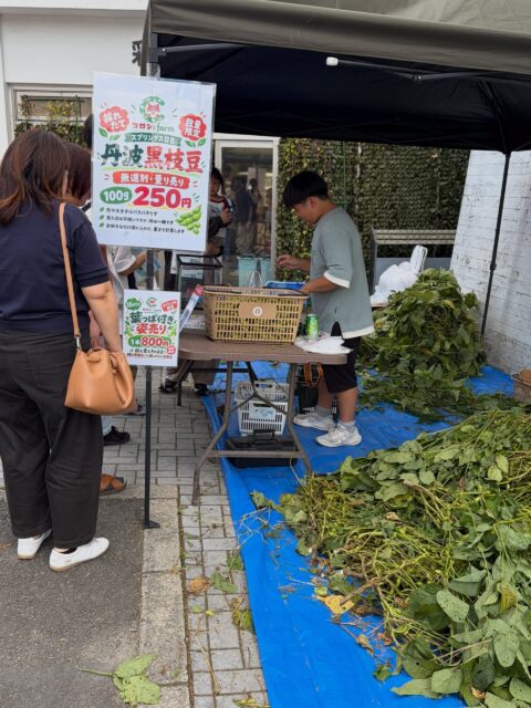 この三連休は、道の駅スプリングス日吉でも
**丹波黒黒枝豆を販売させていただきました！**🙌

たくさんのお客様にお立ち寄りいただき、
本当にありがとうございました🙇‍♂️✨

今年の丹波黒黒枝豆も、サヤがぷっくり膨らんで食べごたえ抜群です😋🫛

そして‼️
📢 来週末も出店いたします！

旬の味覚「丹波黒黒枝豆」を、ぜひご賞味ください🤗

皆さまのお越しを心よりお待ちしております🌱

#コロンズファーム
#丹波黒黒枝豆
#スプリングス日吉
#道の駅
#日吉ダム