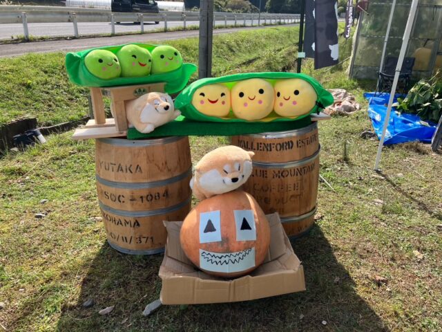 🌿 おはようございます😊 🌿

本日もコロン’sファーム無人販売所、元気に営業しております☀️

秋の味覚🍂
🫛 丹波黒枝豆、販売してます！ 🫛

今が旬の丹波黒枝豆✨
ふっくらとした大粒の枝豆は、食べ応えも抜群です😋

そして販売所には、大根の間引き菜や万願寺とうがらしなど、畑で育った新鮮なお野菜も並んでいます🥬🌶️

販売所のそばでは、かわいい枝豆ちゃんたちと柴犬がお出迎え🐕🫛

秋らしい季節になってきましたね🍁

お近くにお越しの際は、ぜひコロン’sファームへお立ち寄りください😊💕

本日も皆さまのお越しをお待ちしております✨

#コロンズファーム #南丹市 #丹波黒枝豆 #無人販売所 #秋野菜