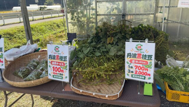 本日は朝一番から、丹波黒枝豆の収穫体験にお越しいただきました😊🌱

なんと！2日前にも収穫体験に来てくださったお客様が、枝豆が美味しかったと、再び来てくださいました🙌✨

「美味しかったから、また来たい！」
そんな嬉しいお言葉が、何よりの励みになります🥹💚

畑で自分の手で収穫する楽しさと、採れたてならではの美味しさを、ぜひ皆さんにも味わっていただきたいです🫛😋

ご参加いただき、本当にありがとうございました🙇‍♂️

丹波黒枝豆の美味しい季節は今だけ！
皆様のお越しをお待ちしております🤗✨

📍コロンズファーム（Colon’s Farm）

#コロンズファーム
#丹波黒枝豆
#黒枝豆収穫体験
#収穫体験
#南丹市