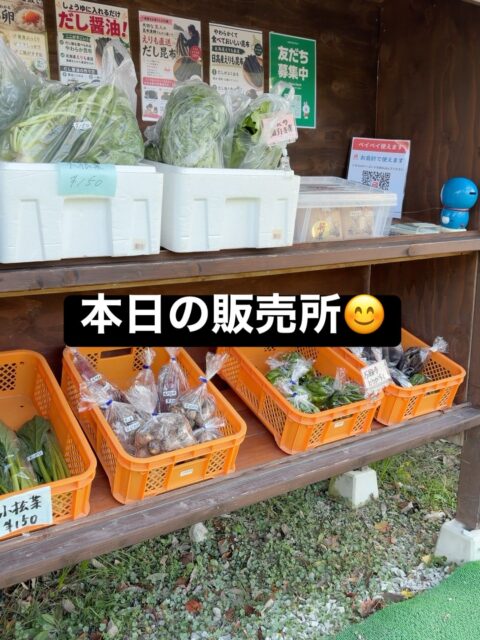 🌿 こんにちは😊

本日もコロン’sファーム無人販売所、元気に営業しております✨

🫛 丹波黒枝豆、好評販売中！

枝付き・袋入りをご用意しております😊
秋の味覚をぜひお楽しみください💕

🥬 新鮮な葉物野菜や秋野菜も並んでいます✨

お近くにお越しの際は、ぜひお立ち寄りくださいね❤️

本日もよろしくお願いいたします😊

#コロンズファーム #南丹市 #丹波黒枝豆 #無人販売所 #秋野菜