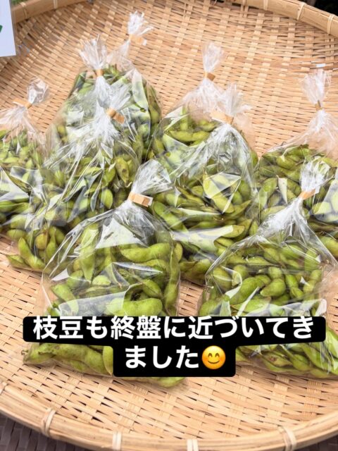 🌿 本日もありがとうございました😊 🌿

本日もコロン’sファーム無人販売所、黒枝豆販売所へお越しいただき、ありがとうございました💕

秋の味覚が続々と収穫されています🍂

🍠 さつまいももたくさん収穫できました！

🫛 丹波黒枝豆も好評販売中です！

今が旬の丹波黒枝豆✨
ふっくら大粒で、濃厚な味わいが魅力です😋

畑では秋の恵みがいっぱい！
収穫の喜びを感じる毎日です🌱

これからも旬の美味しいお野菜を皆さまにお届けできるよう、頑張ってまいります😊

本日もたくさんのご来店、本当にありがとうございました❤️

明日もどうぞよろしくお願いいたします🍀

#コロンズファーム #南丹市 #丹波黒枝豆 #さつまいも #無人販売所