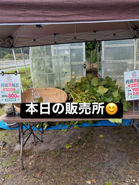 🌿 おはようございます😊

本日は雨模様ですが☔
コロン’sファーム、元気に営業しております✨

🫛 丹波黒枝豆の有人販売は本日で終了となります！

明日からは無人販売所にて販売いたします😊

雨の中ですが、秋野菜も並んでおります🥬

お足元にお気をつけてお越しくださいね💕

本日もよろしくお願いいたします🙇‍♀️

#コロンズファーム #南丹市 #丹波黒枝豆 #無人販売所 #秋野菜