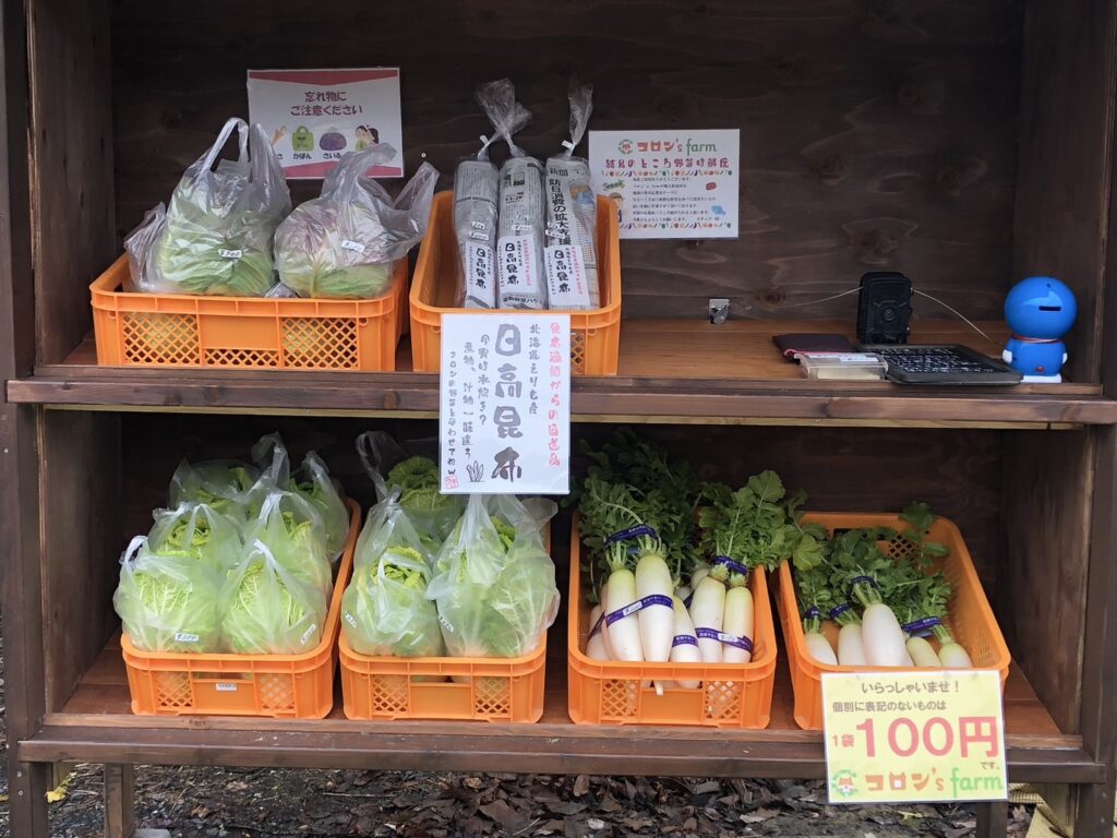 南丹市日吉町の無人販売所で販売されている白菜や大根などの季節野菜