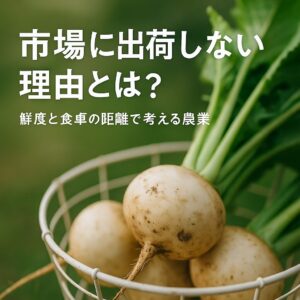 白いカブのアップ写真と「市場に出荷しない理由とは？」の文字が入ったアイキャッチ画像