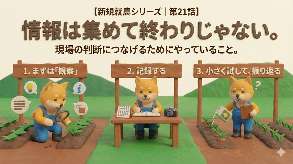 新規就農シリーズ第21話のアイキャッチ画像。集めた情報を農業の現場判断につなげる考え方を表したイラスト。