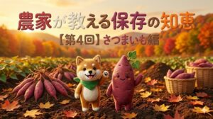 秋の畑を背景に、柴犬のマスコットとさつまいもが並ぶ「農家が教える保存の知恵（第4回）さつまいも編」の画像