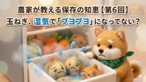 農家が教える保存の知恵【第6回】玉ねぎ編｜冷蔵庫でブヨブヨになる原因と保存のコツを解説するアイキャッチ画像