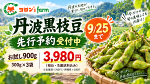京都府南丹市産 丹波黒枝豆 先行予約 9月25日まで・900g・3,980円・冷蔵送料込み