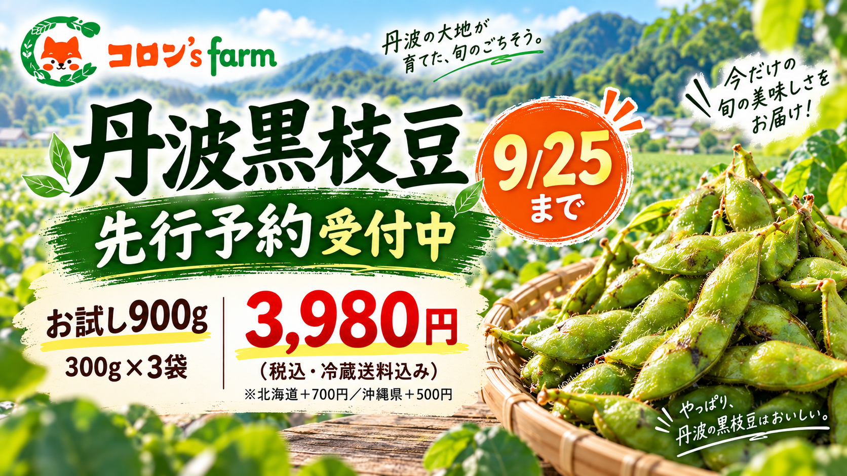 京都府南丹市産 丹波黒枝豆 先行予約 9月25日まで・900g・3,980円・冷蔵送料込み