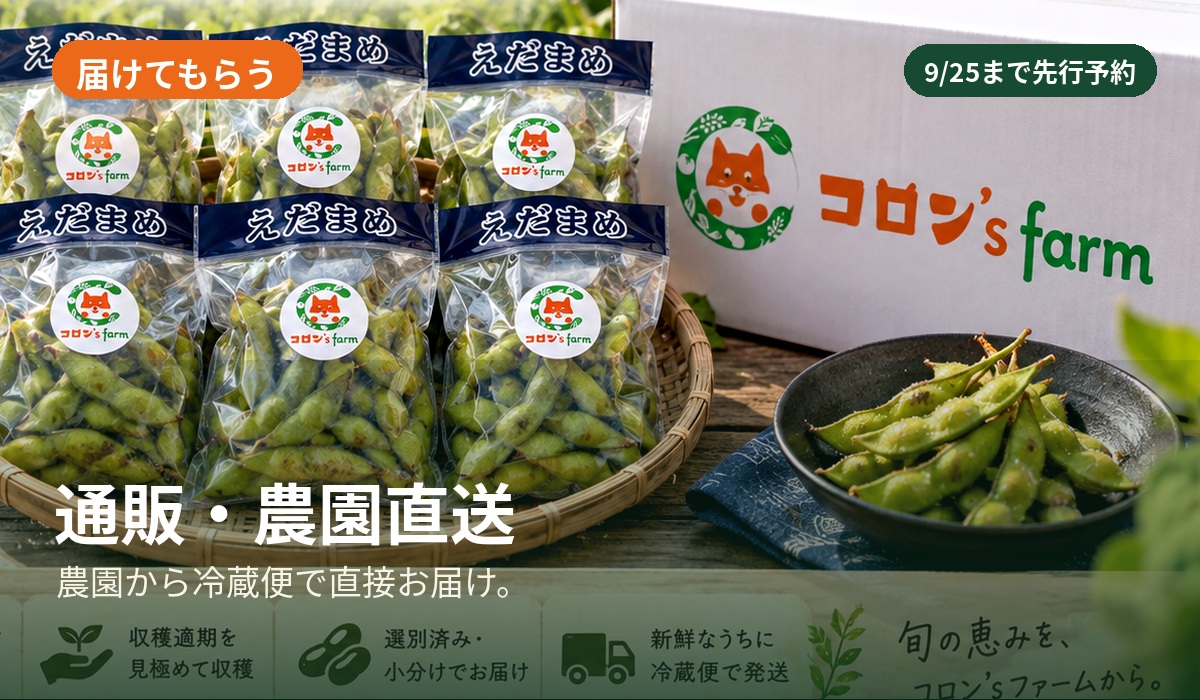 コロン’sファーム 丹波黒枝豆 通販 農園直送