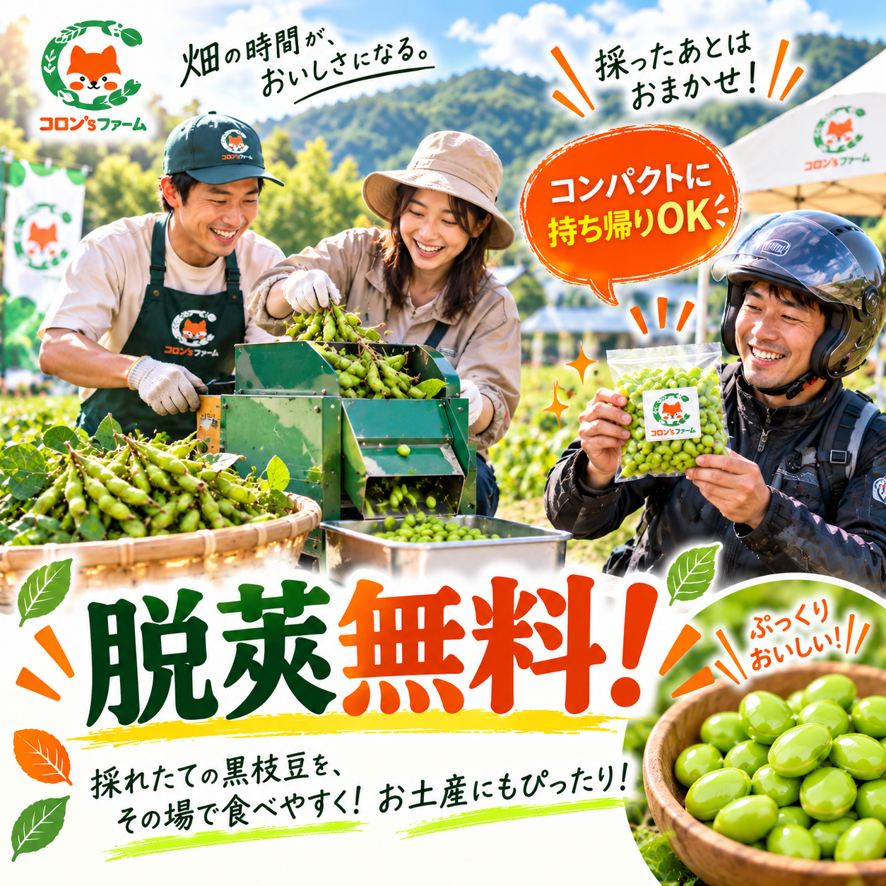 丹波黒枝豆 脱莢無料